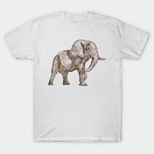 Elephant Sketch T-Shirt